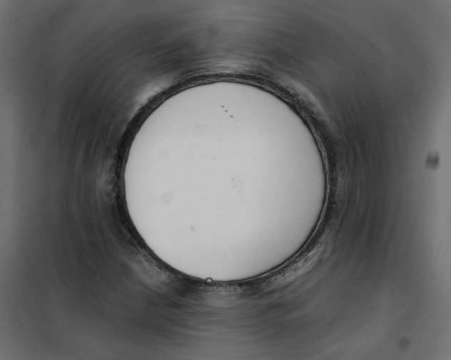 X0000102031210200808081804