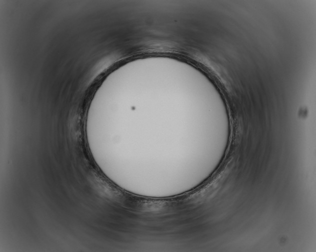 X0000102031211200808081804