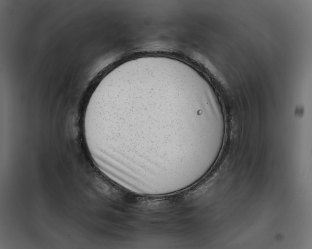 X0000102031213200808081804