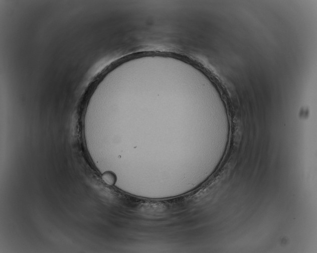 X0000102031215200808081804