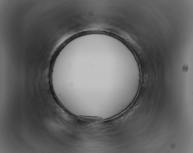 X0000102031216200808081804