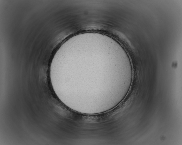 X0000102031217200808081804