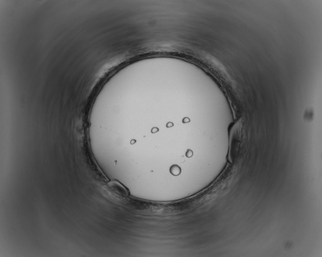 X0000102031218200808081804