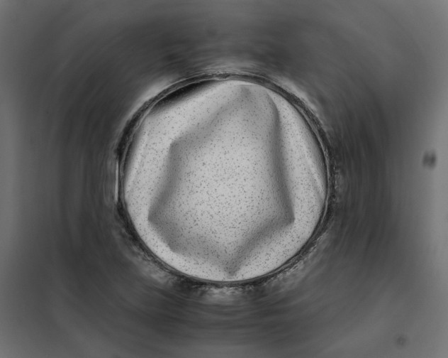 X0000102031219200808081804