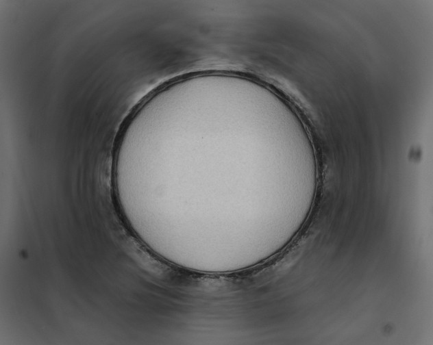 X0000102031220200808081804