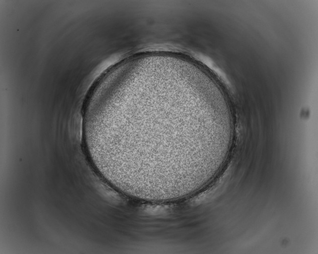 X0000102031221200808081804