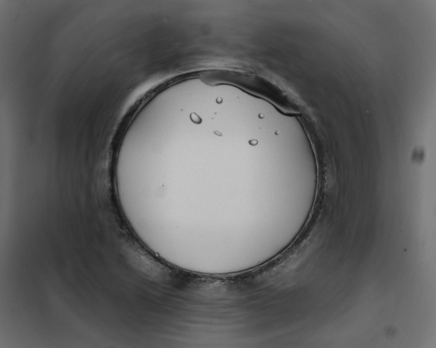 X0000102031222200808081804