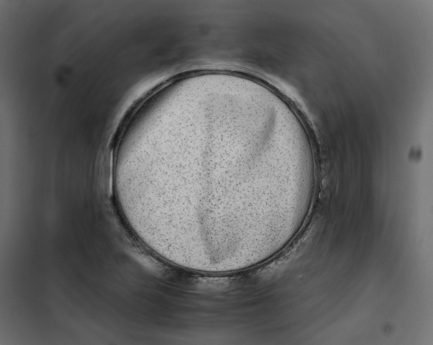 X0000102031223200808081804