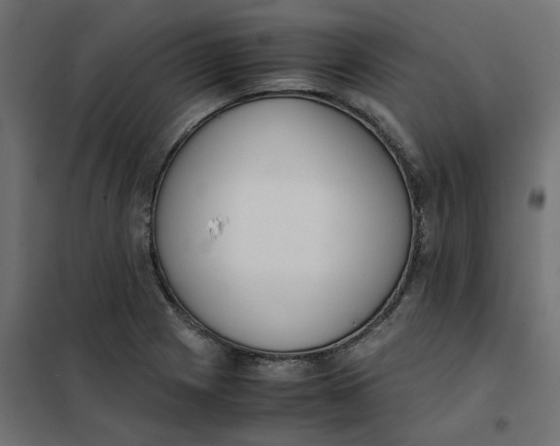 X0000102031225200808081804