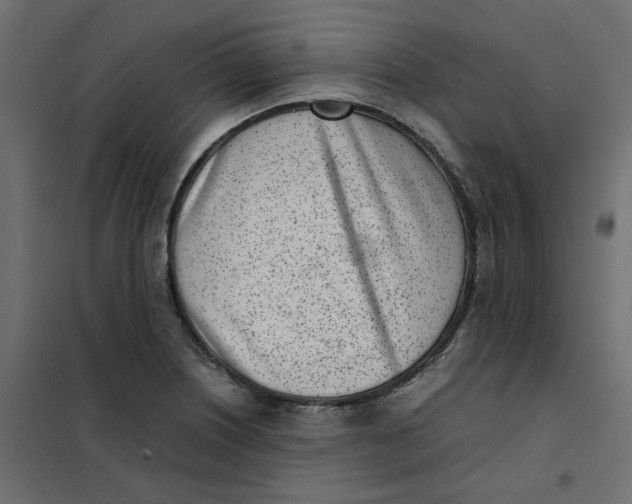 X0000102031226200808081804