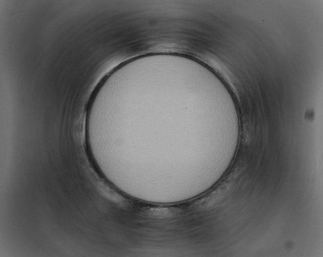 X0000102031227200808081804