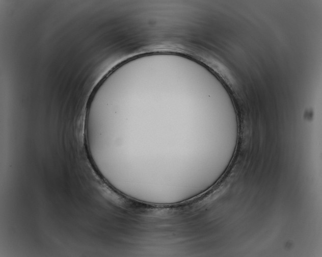 X0000102031228200808081804