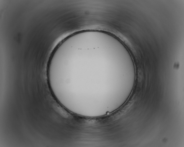 X0000102031230200808081804