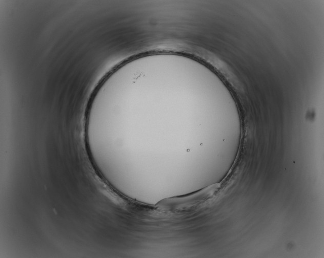 X0000102031232200808081804