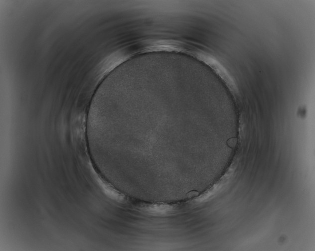 X0000102031233200808081804