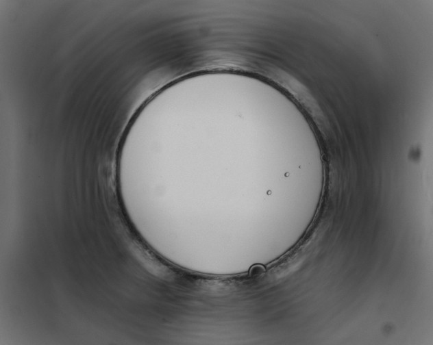 X0000102031234200808081804