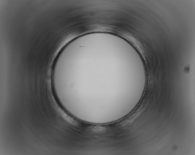 X0000102031235200808081804