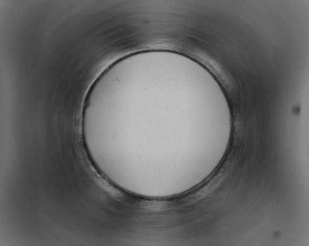 X0000102031236200808081804