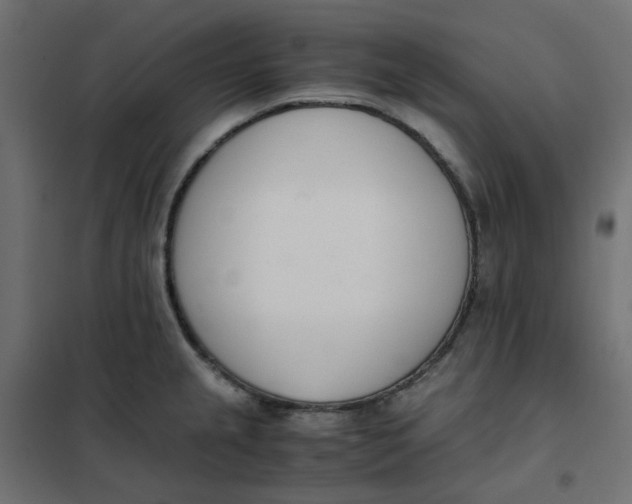 X0000102031237200808081804