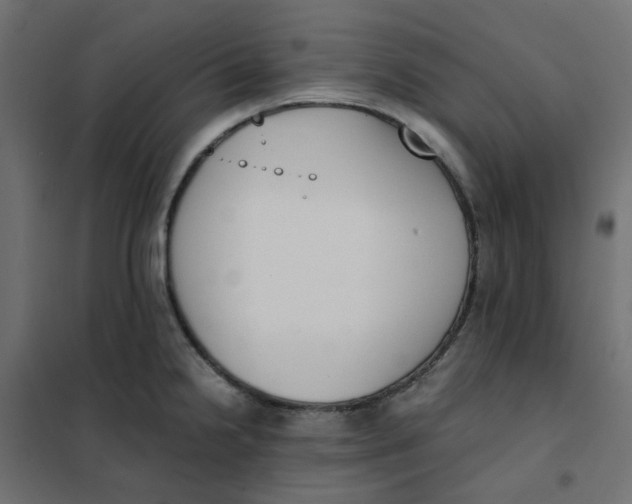 X0000102031238200808081804