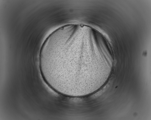 X0000102031239200808081804