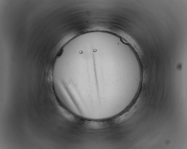 X0000102031241200808081804