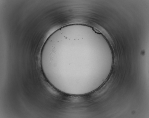 X0000102031242200808081804