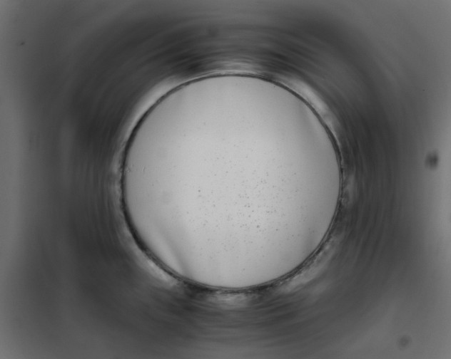 X0000102031243200808081804