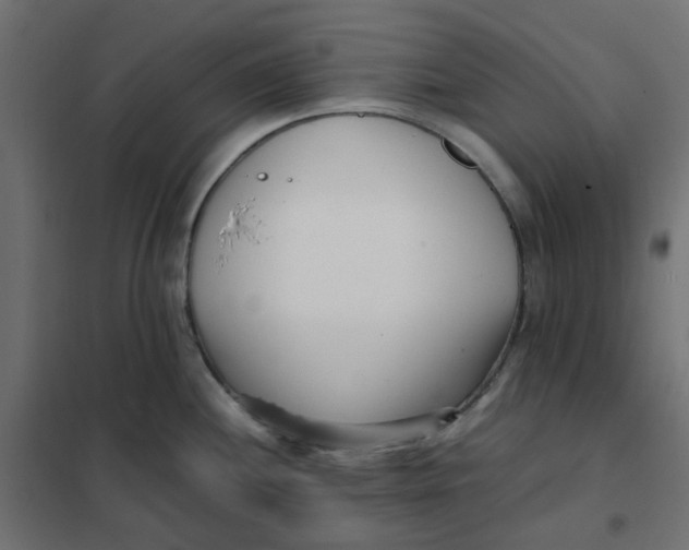 X0000102031244200808081804