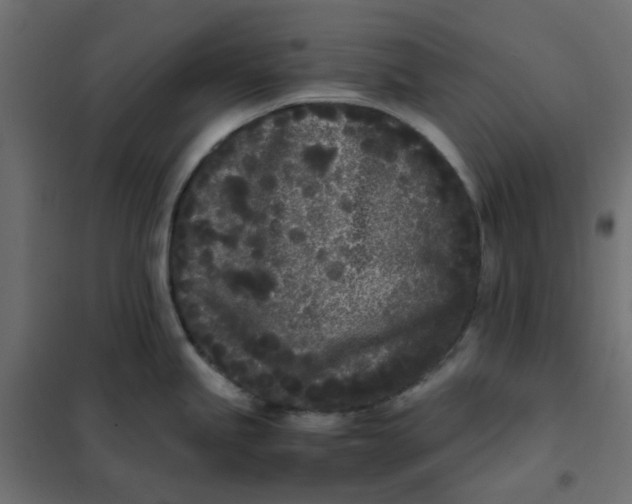 X0000102031245200808081804