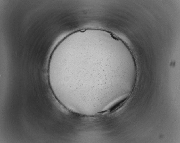 X0000102031248200808081804