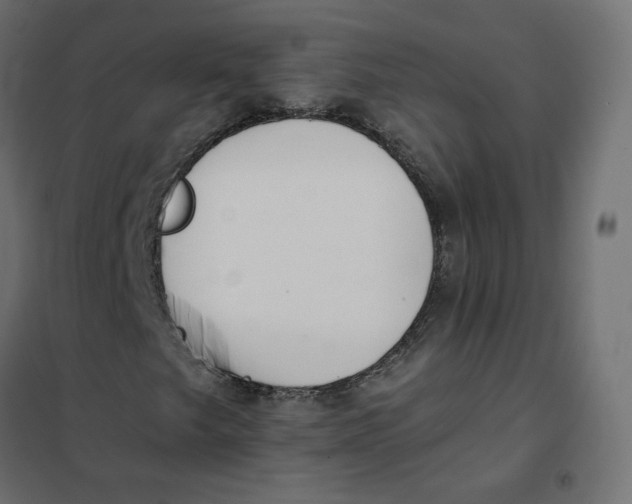 X0000102031249200808081804