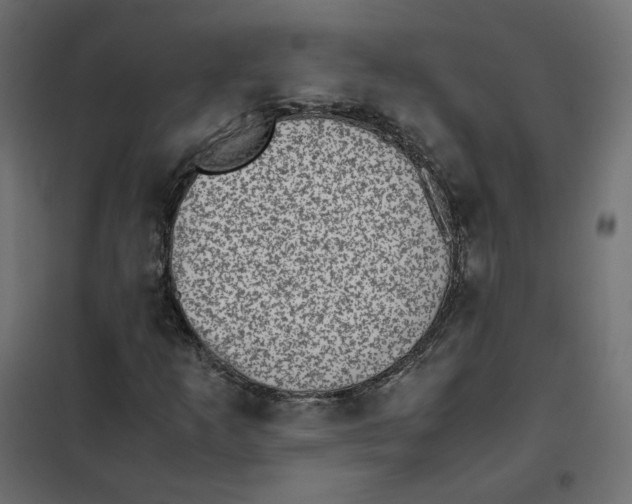 X0000102031253200808081804