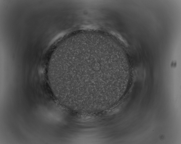 X0000102031254200808081804