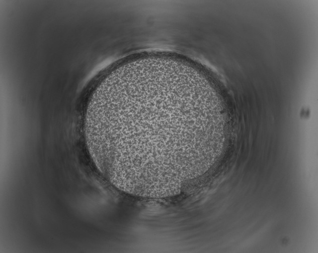 X0000102031255200808081804