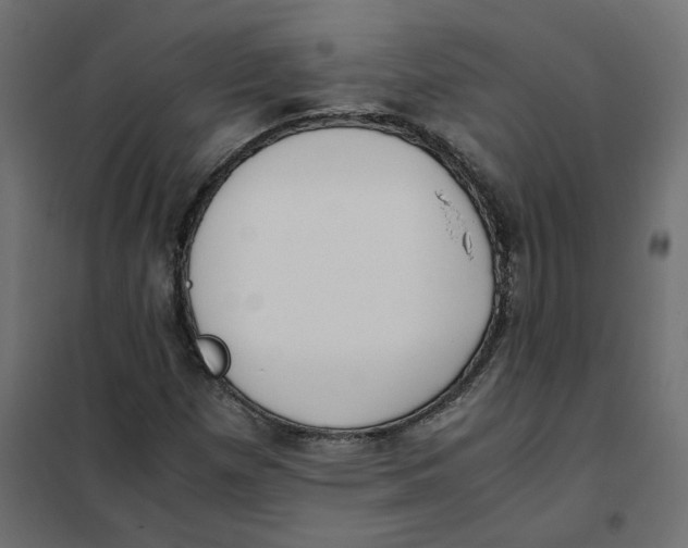 X0000102031257200808081804