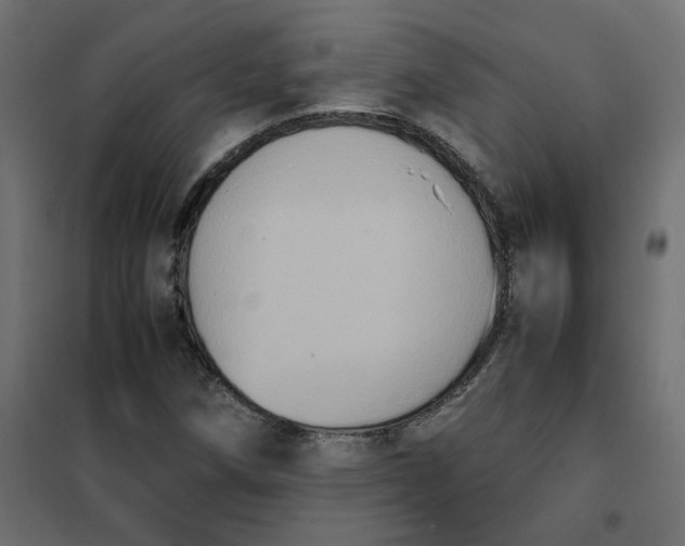 X0000102031258200808081804