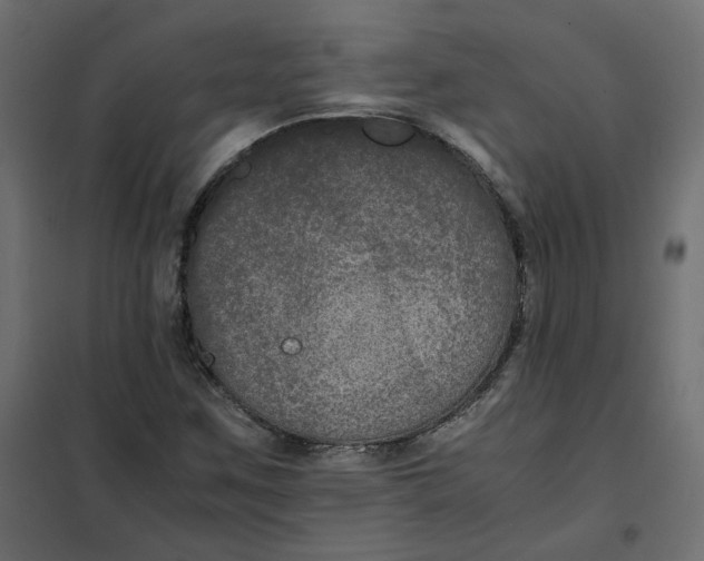 X0000102031259200808081804