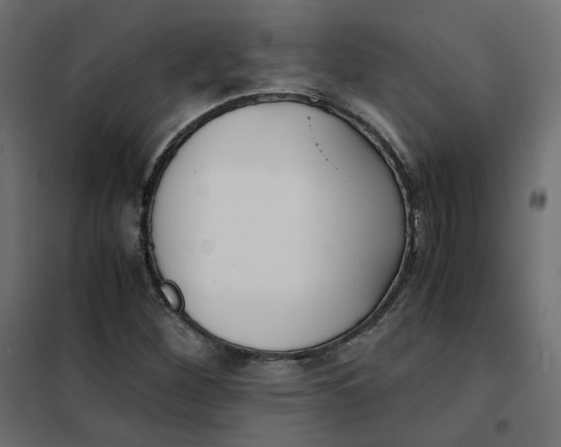 X0000102031260200808081804