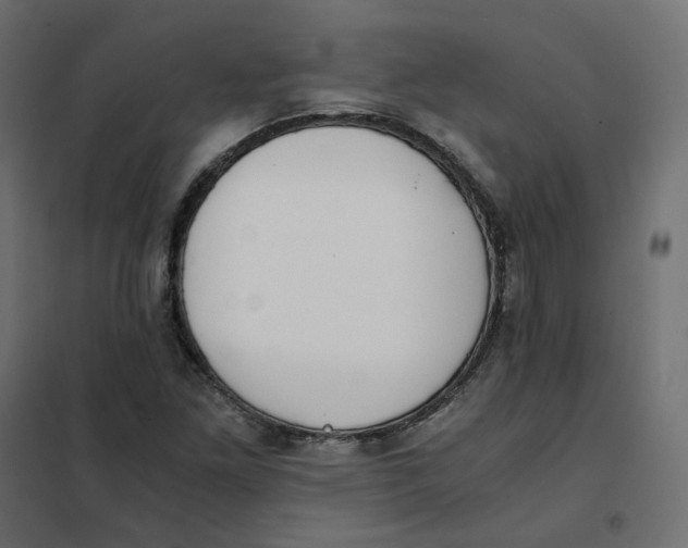 X0000102031261200808081804