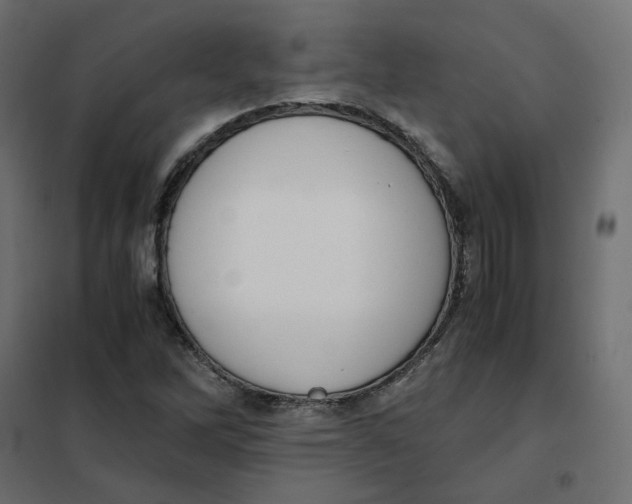 X0000102031262200808081804