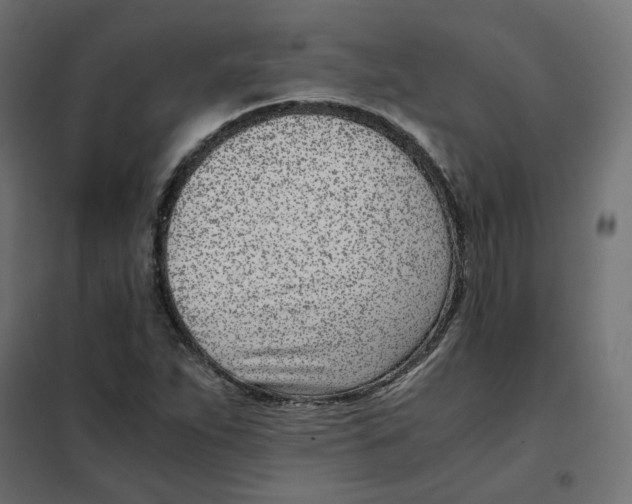 X0000102031263200808081804