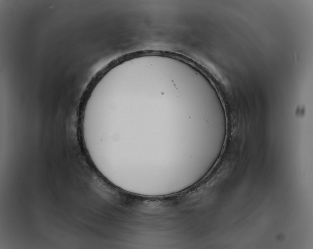 X0000102031264200808081804