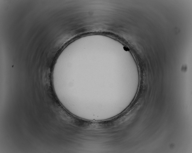 X0000102031265200808081804