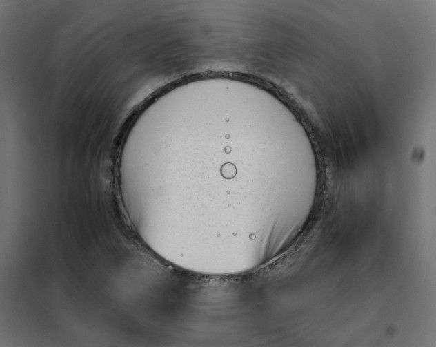 X0000102031266200808081803