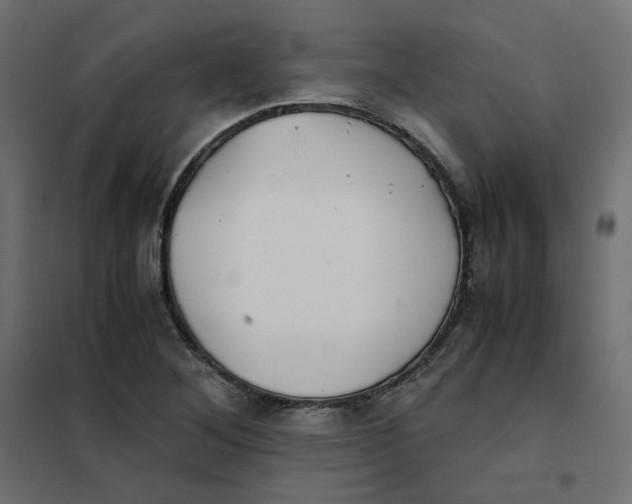 X0000102031268200808081803