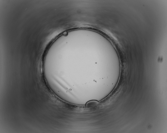 X0000102031269200808081803