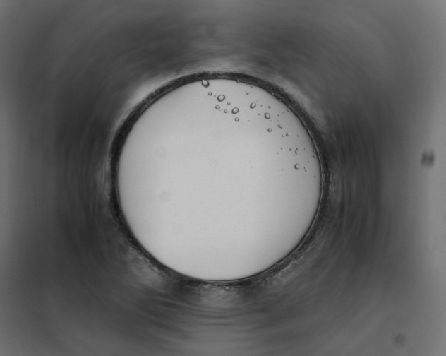 X0000102031270200808081803