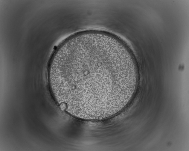 X0000102031271200808081803