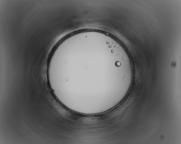 X0000102031272200808081803